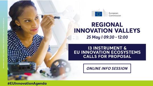 Regional Innovation Valeys - Info Session